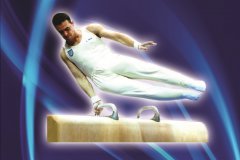 «Фестиваль гимнастики» памяти Александра Береша