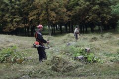 РАБОТЫ ПО БЛАГОУСТРОЙСТВУ, ВЫПОЛНЕННЫЕ ПЕРВОМАЙСКИМ КП «ПККУ»