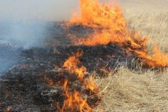 МЧС ЛНР продлило действие самого высокого класса пожарной опасности до 1 августа