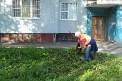 РАБОТЫ ВЫПОЛНЕННЫЕ КОММУНАЛЬНЫМ ПРЕДПРИЯТИЕМ «ЖИЛИЩНО-ЭКСПЛУАТАЦИОННАЯ КОНТОРА № 2»