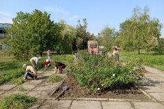 Очередной шаг к чистому городу