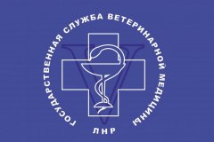 Лейкоз
