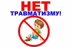 Профилактика травматизма и гибели детей от внешних причин