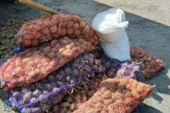 Мэрия Первомайска доставила жителям Попасной продуктовые наборы и картофель