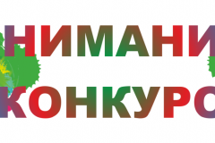 Городской конкурс декоративно-прикладного искусства: «Я МОГУ!»