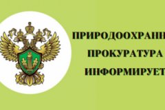 По инициативе Стаханово - Алчевской межрайонной природоохранной прокуратуры усилен контроль за мерами по противодействию паводкам