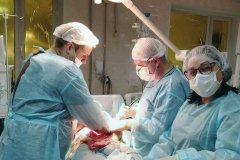 Калужские медики за неделю оказали помощь 810 пациентам в Первомайске