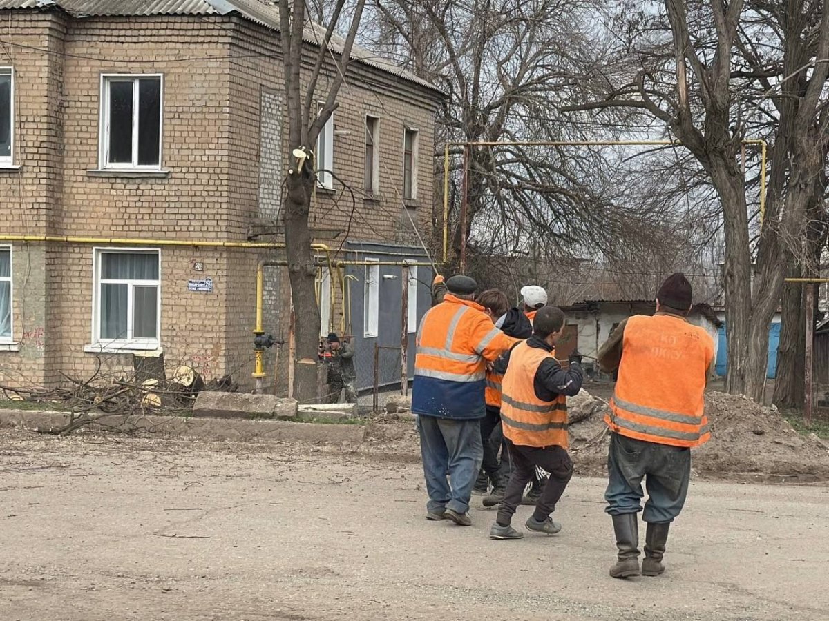 В Первомайске удаляют аварийные и сухостойные деревья вблизи жилых домов по заявкам граждан