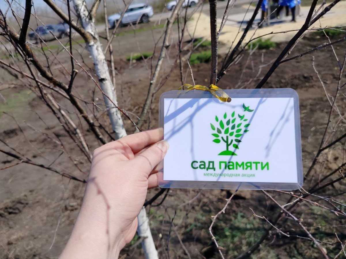 В Первомайске высадили 20 деревьев в рамках акции «Сад памяти»