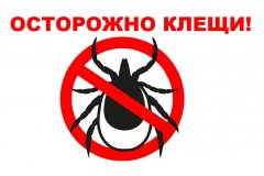 Осторожно клещи