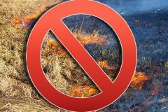 О необходимости организации противопожарных мер