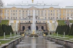 Подробности о том, как исполнилась мечта двенадцатилетней Ксении, проживающей в городе Горское