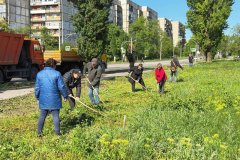Общественные мероприятия по благоустройству продолжаются