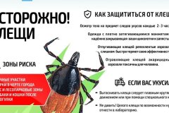 Осторожно клещи!