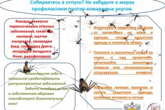 Вниманию населения! Меры профилактики против комариных укусов
