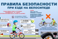 Безопасность дорожного движения