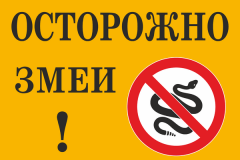 Осторожно, змеи!