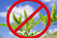 Информация для землепользователей и населения городского округа город Первомайск Луганской Народной Республики!