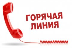 Горячая линия по вопросам качества и безопасности детских товаров и школьных принадлежностей